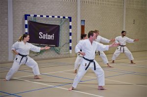 Karate-seminars voor inzicht en techniek (video)