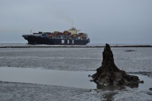 Regiokiek: Containerschip bij Rilland