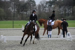 Paarden en Pony’s Dressuur in Hoogerheide
